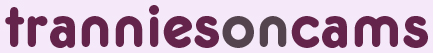 Tranny Cams